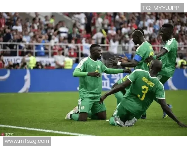 2019年非洲杯加纳与突尼斯激战回顾与精彩瞬间分析