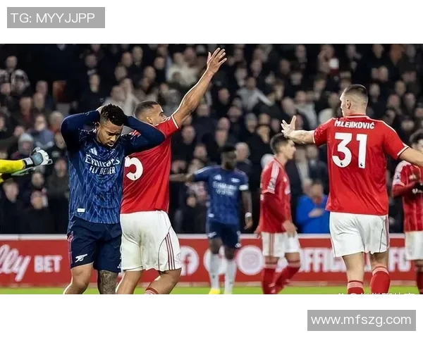 南安普顿主场迎战狼队期待精彩对决双方争夺英超宝贵积分